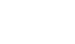 Logo austin blanco